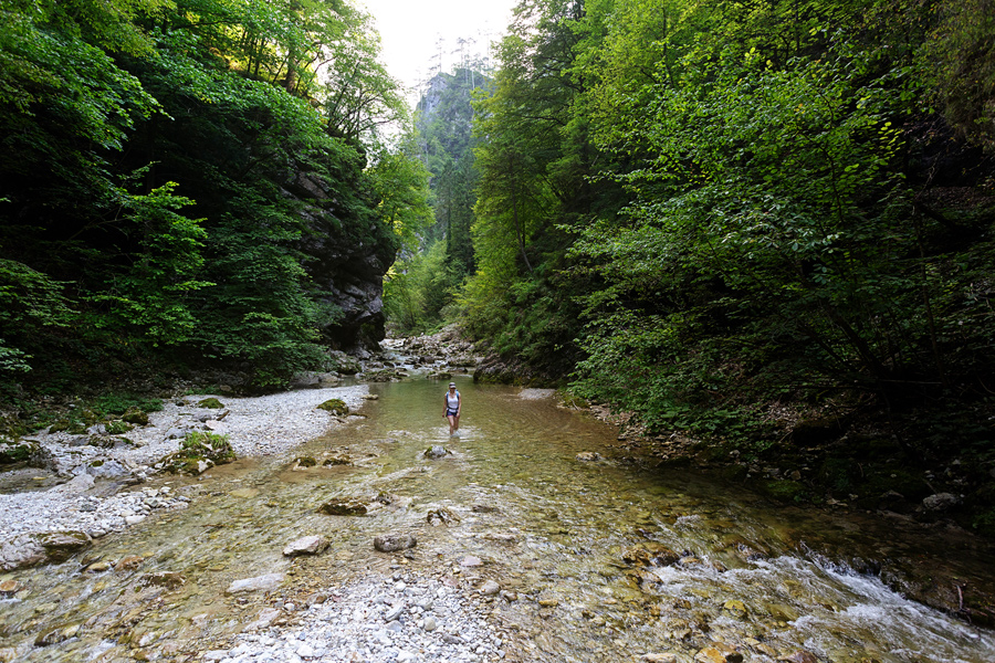 Trekking in Iška river gorge